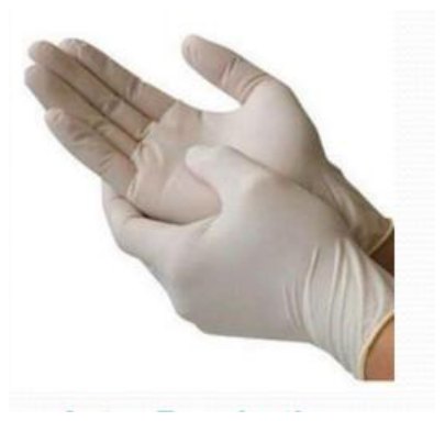Latex Examination Gloves